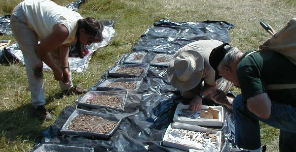 Archeological Society in Virginia