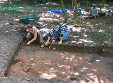 ARCHAEOLOGICAL INVESTIGATIONS IN VIRGINIA