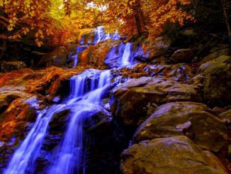 Image Showing A Frontview of Waterfalls at a small creak