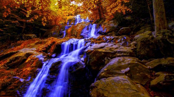 Image Showing A Frontview of Waterfalls at a small creak