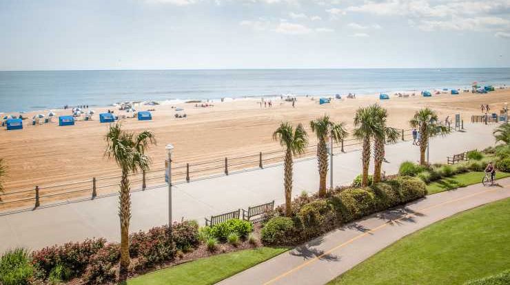 Image Showing Virginia's Long Oceanfront Boardwalk lined with palm trees