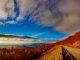 Image of A Beautiful View of Blue Ridge Virginia