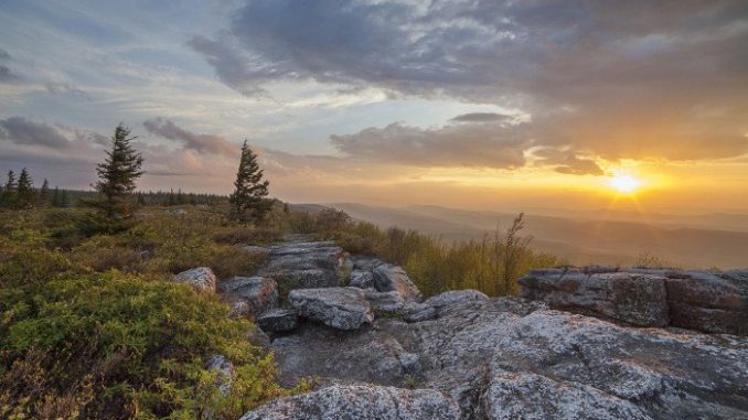 Image Showing Shenandoah National Park, Virginia